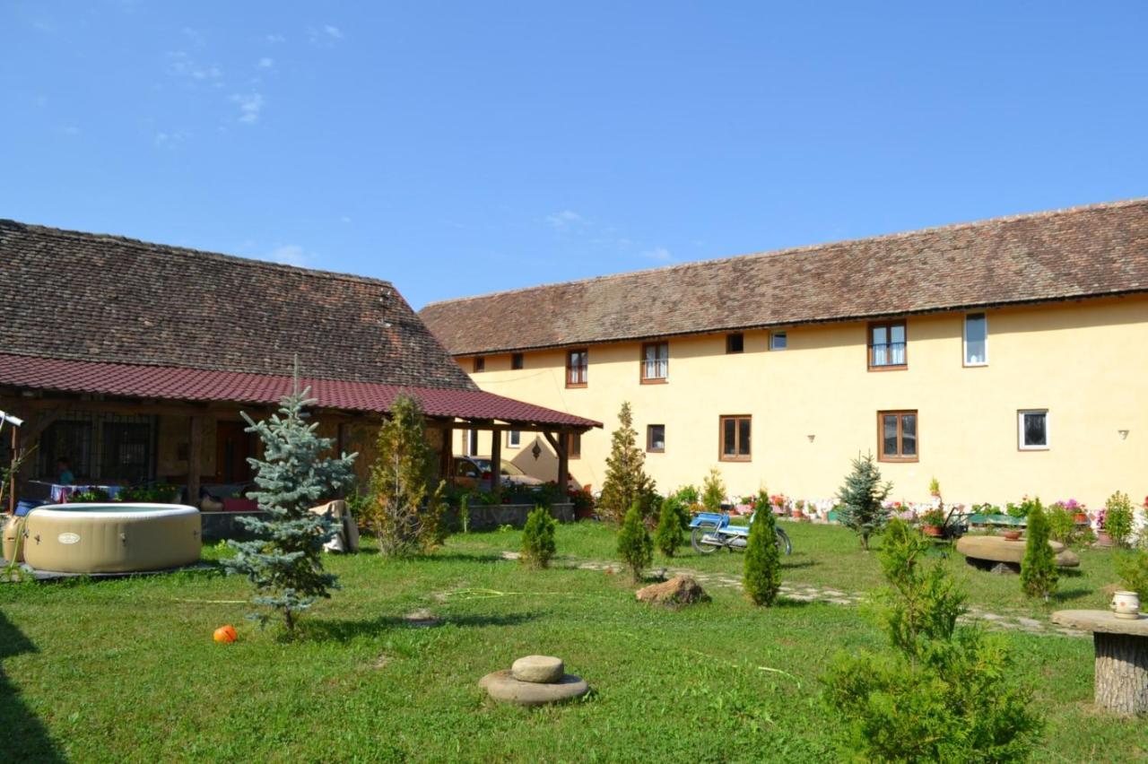 Casa Maria Lägenhet Cincu Exteriör bild