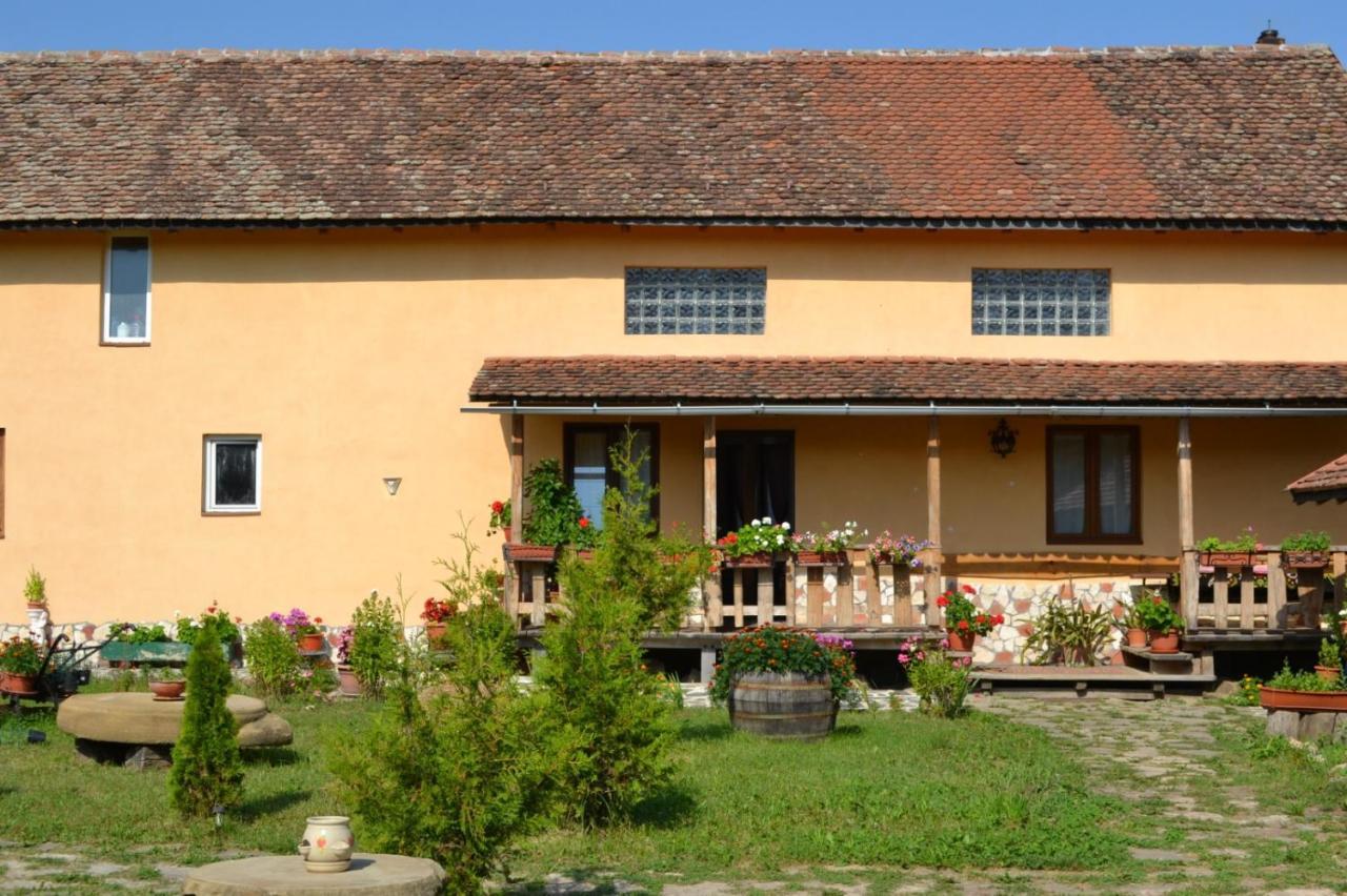 Casa Maria Lägenhet Cincu Exteriör bild