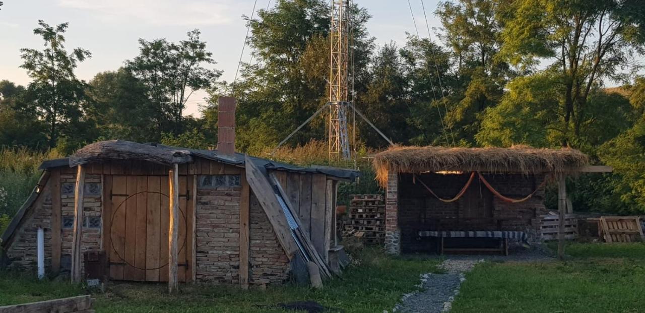 Casa Maria Lägenhet Cincu Exteriör bild