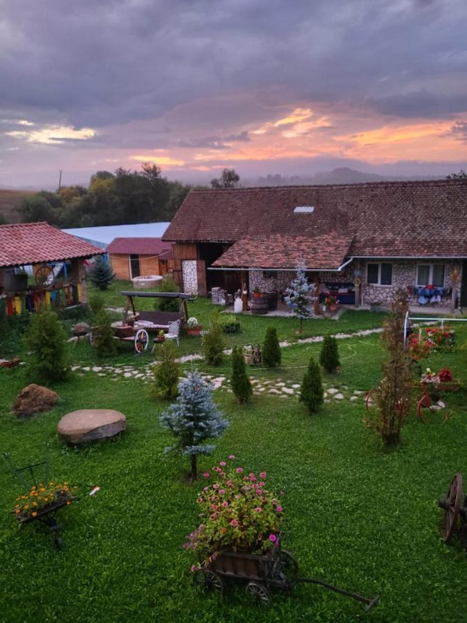 Casa Maria Lägenhet Cincu Exteriör bild