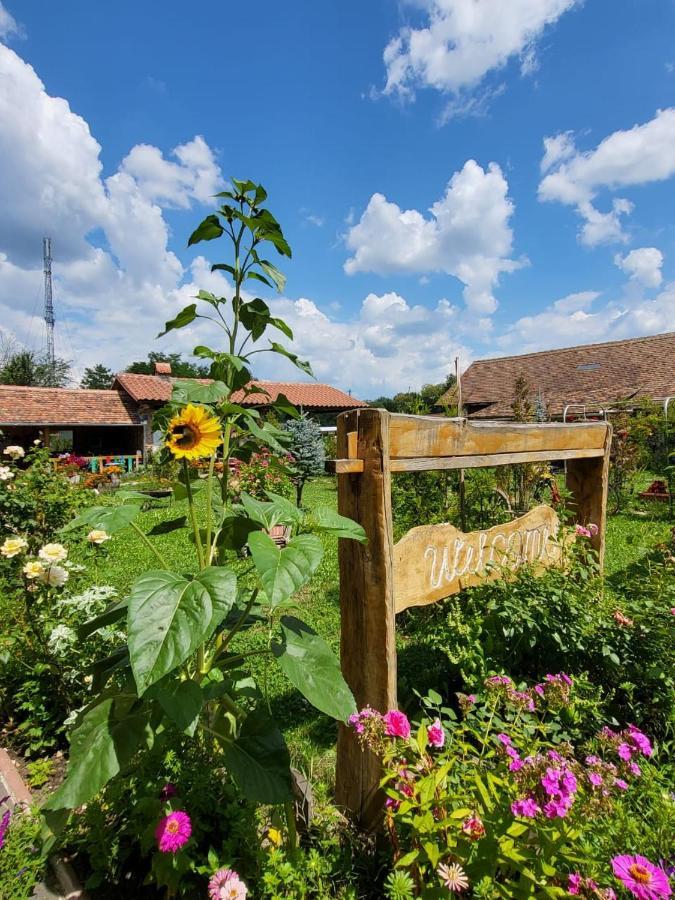 Casa Maria Lägenhet Cincu Exteriör bild
