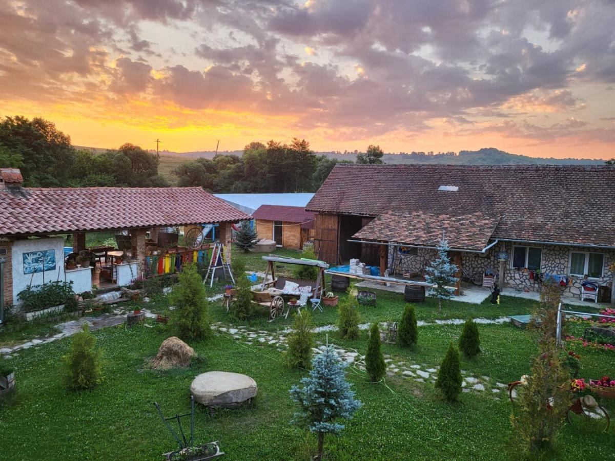 Casa Maria Lägenhet Cincu Exteriör bild
