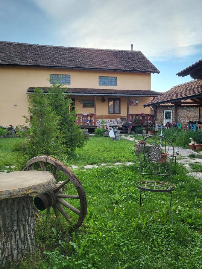Casa Maria Lägenhet Cincu Exteriör bild