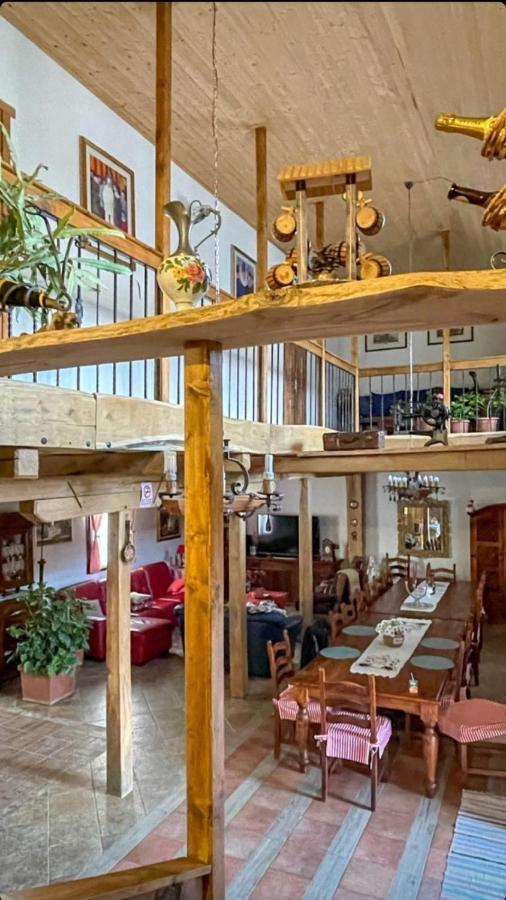 Casa Maria Lägenhet Cincu Exteriör bild