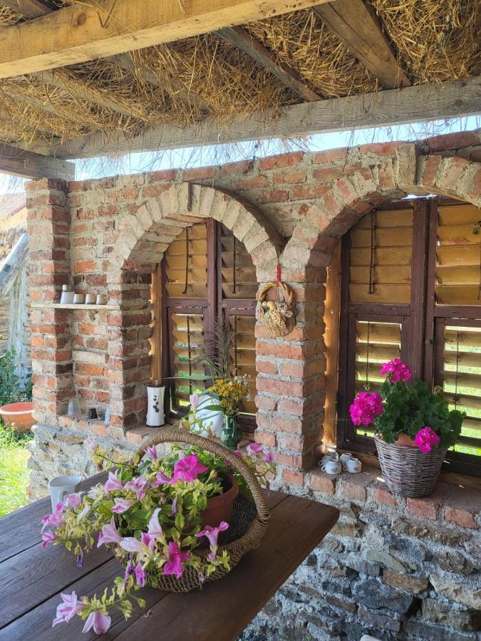 Casa Maria Lägenhet Cincu Exteriör bild