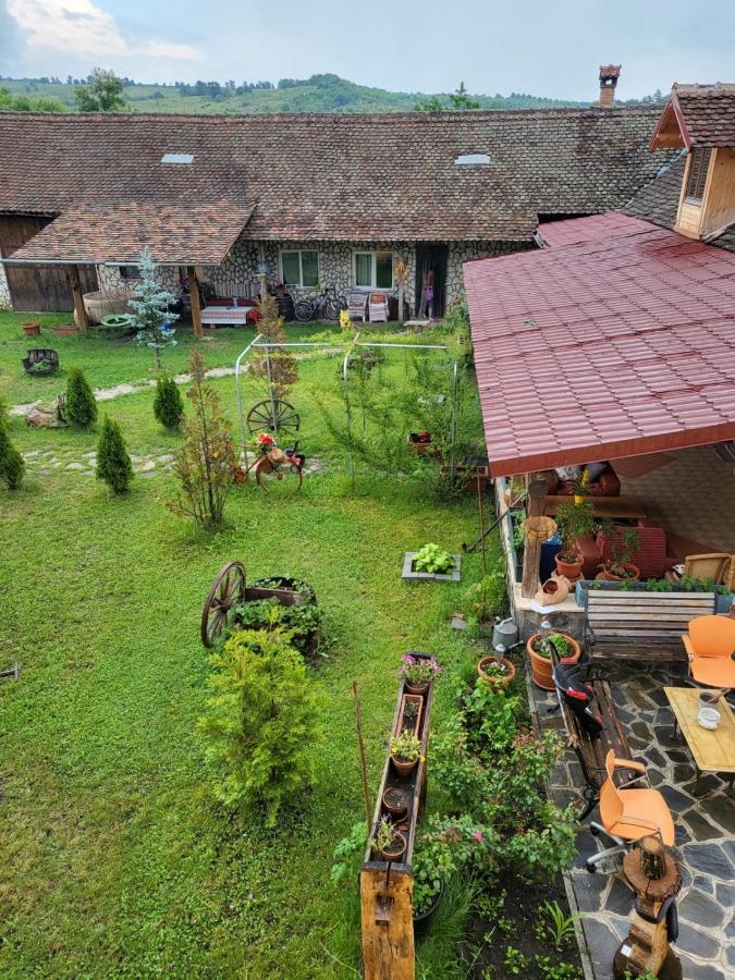 Casa Maria Lägenhet Cincu Exteriör bild