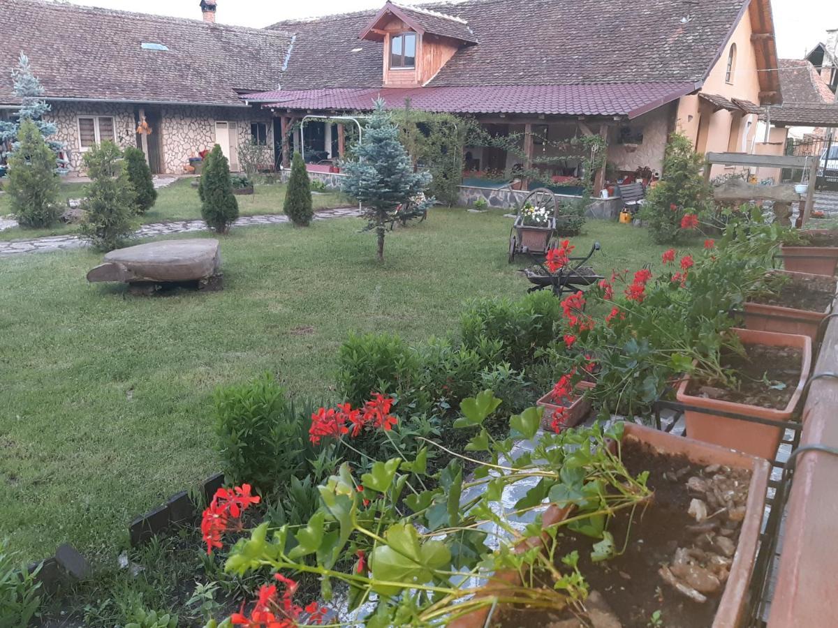 Casa Maria Lägenhet Cincu Exteriör bild