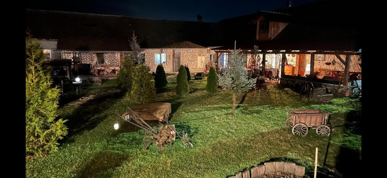 Casa Maria Lägenhet Cincu Exteriör bild